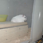 寝そべってます