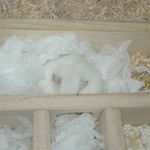 一番奥の部屋を寝室にしていました