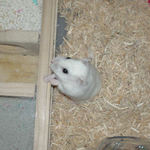 上を見上げてるアイ