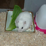 ちょっと、不満気