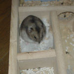 眠そうな表情のユウキ