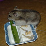 2月3日のユウキ