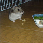 大豆を食べたユウキ