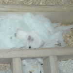 一番奥の部屋を寝室にしています