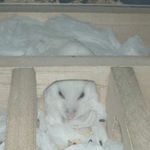 眠りそうなアイ