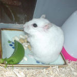 ひとしきり食べてご満悦