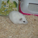 エサを食べてご満悦