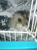 のんちゃん その1