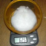 またも体重増加