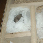 ユウキも完全防備な寝室