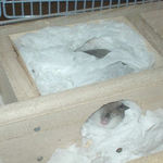 やはり眠そうな表情のユウキ