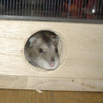 ユウキもちょっと眠そうな表情で出てきました