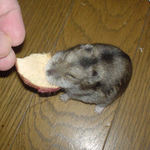 2月6日のユウキ