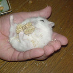 たまには角度を変えて