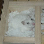 一瞬起きたアイだけれど