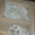 ブサイク顔で寝てしまいました