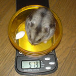 若干の体重減です。