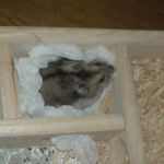 寝室にいるユウキ