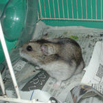 角まで臭いをかいでいます