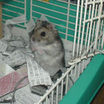 外が気になるのんちゃん