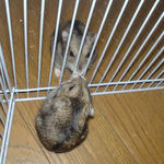 今日はいい感じ