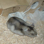 眠そうなユウキ