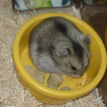 エサ入れに入ってるユウキ