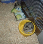 ユウキとのんちゃん