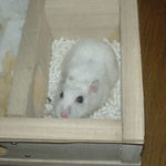 地下室に待機中のアイ