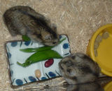 のんちゃんとユウキ その2