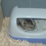 ユウキはトイレにいました