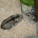 ユウキにはチッと鳴かれました