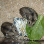 カメラが気になる？