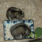 なんだかユウキデカイなぁ