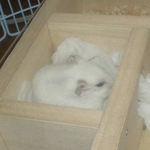 地下室に居たアイ