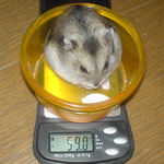 体重、大幅増加のユウキです