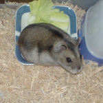 丸々していきました