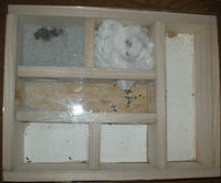 アイの地下型巣箱