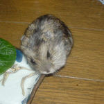 顔が、いびつになっています