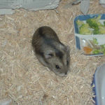 前からみるとこんな感じ