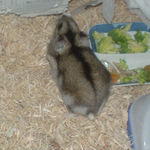 後ろからみるとこんな感じ