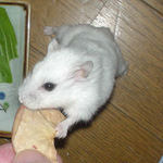 必死の形相です