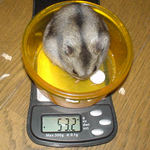 体重はあまり変わらず