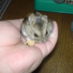 でも、すぐにやめちゃいました。必死に、しがみついています。