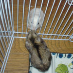 アイとのんちゃん