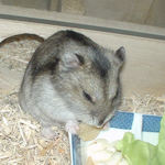 目を細めて食べるユウキ