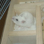 寝室に篭っているアイ