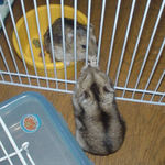 のんちゃんとユウキ