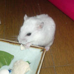 男前豆腐はうまいなぁ