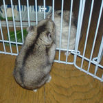 今日はいい感じ